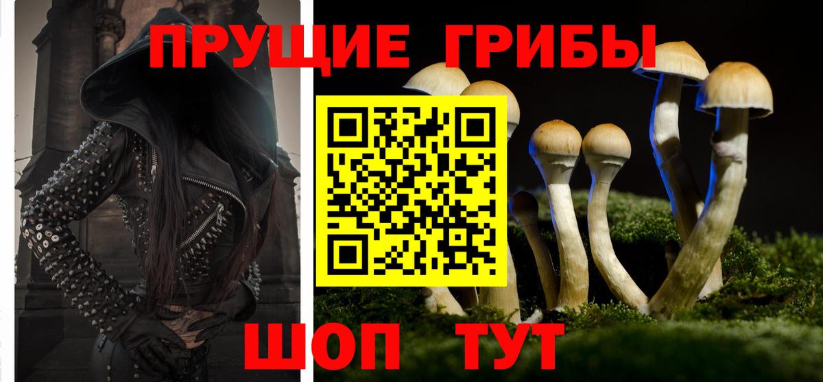 Псилоцибиновые грибы MAGIC MUSHROOMS  Вход с VPN  Саратов 