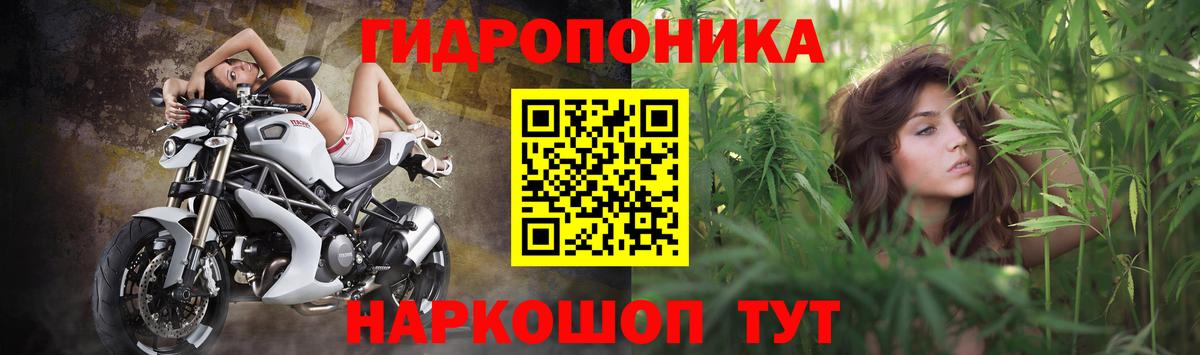 Бошки марихуана Bruce Banner  Вход с VPN  Саратов  Конопля AK-47  Марихуана планчик 